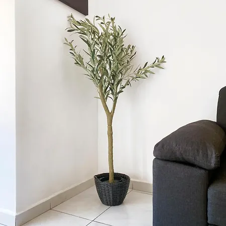 Paceville Apartament