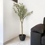 Paceville Apartamento
