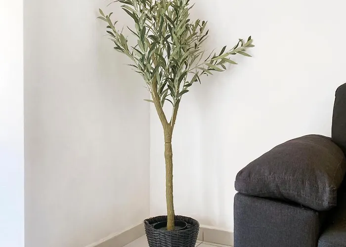 Paceville Διαμέρισμα